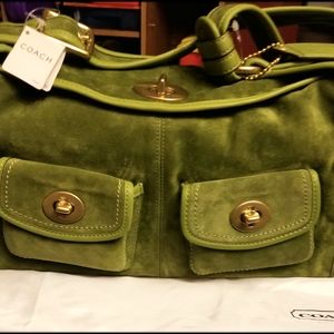Authentic Asparagus LIMITED EDITION Coach Satchel